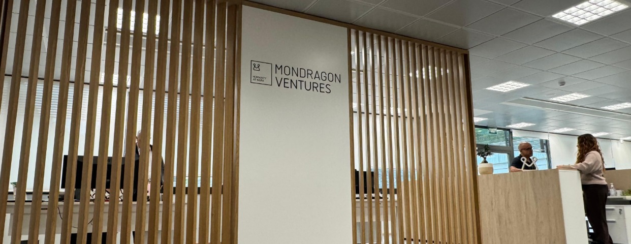 Imagen de cabecera de New industrial business launch promoter/manager