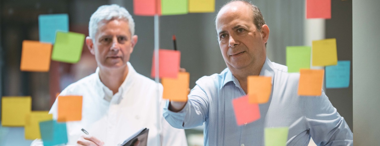 Imagen de cabecera de Aholkulari seniorra