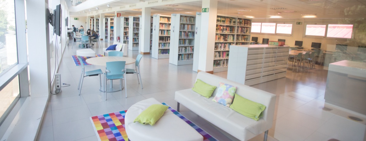 Imagen de cabecera de Biblioteka eta Zerbitzuetako teknikaria