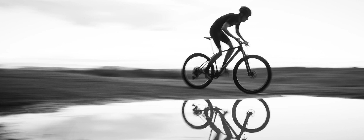 Imagen de cabecera de Customer Service (Verano)