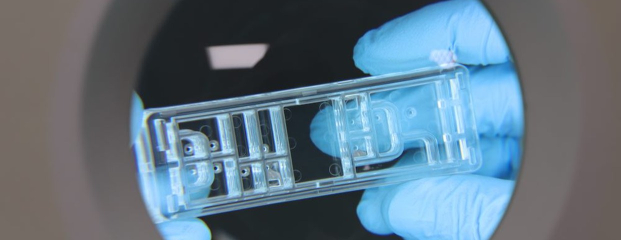 Imagen de cabecera de INGENIERO/A SENIOR DE DESARROLLO DE PRODUCTO-MICROFLUIDICA