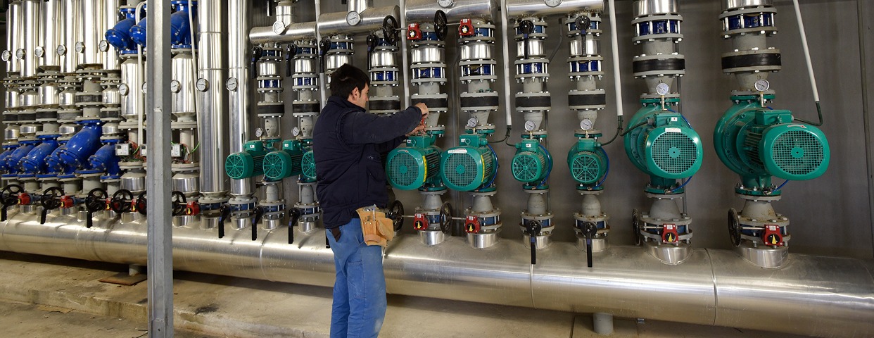 Imagen de cabecera de Técnico/a en Control de Plagas