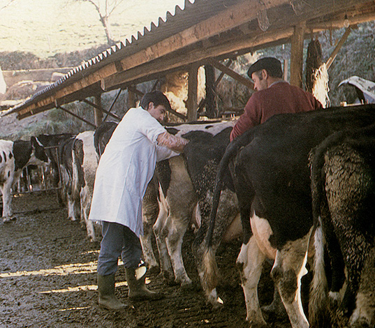 1983